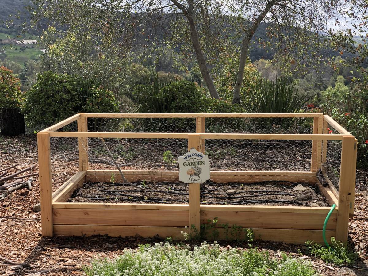 A raised garden bed